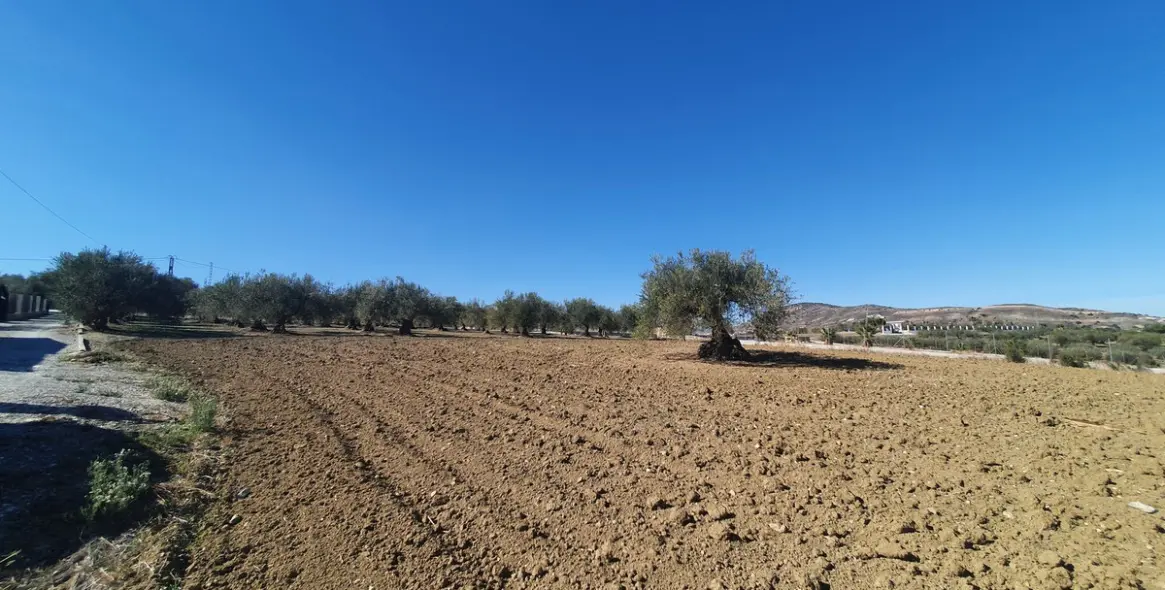 Продажа  жилого участка в Alhaurín el Grande 9