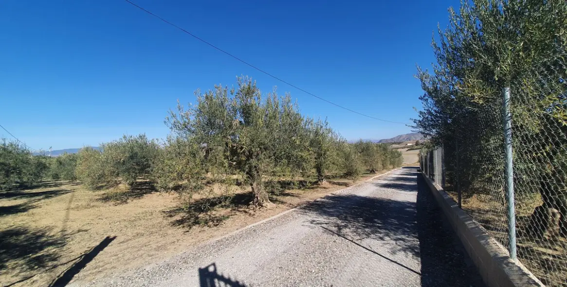 Продажа  жилого участка в Alhaurín el Grande 12