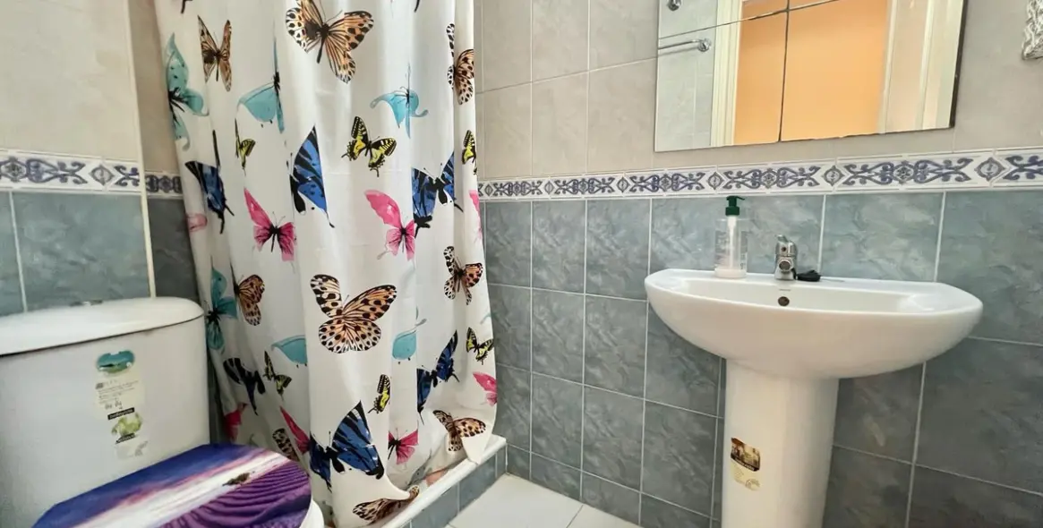 Sale of penthouse in Las Lagunas 8