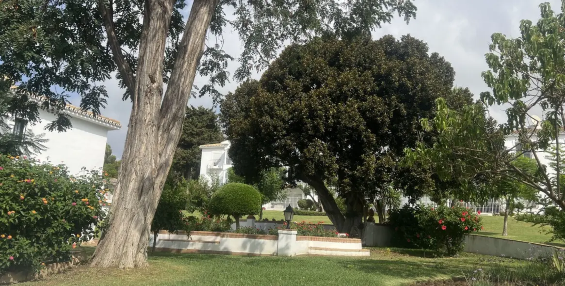 Продажа апартаментов на первом этаже в El Paraiso 18