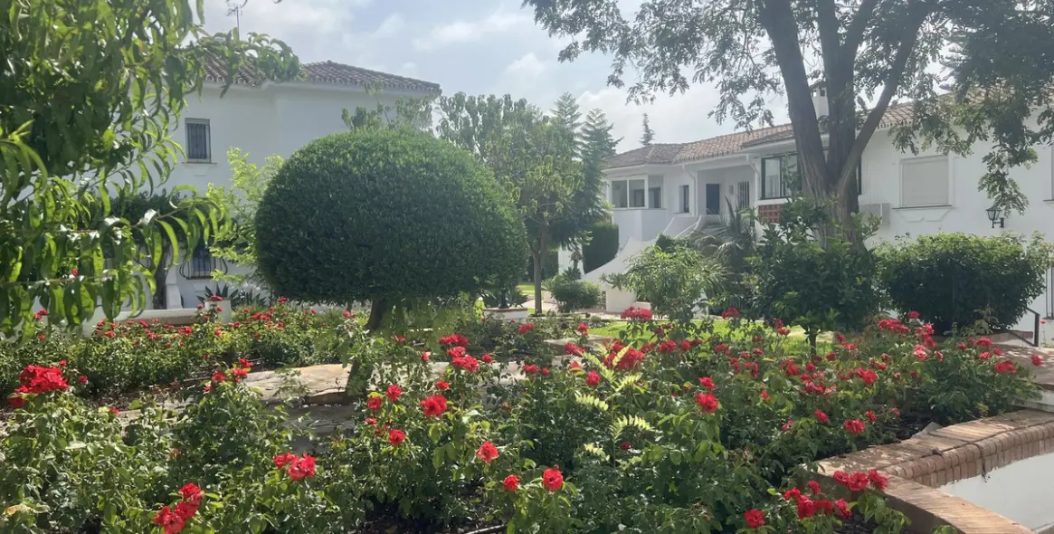 Продажа апартаментов на первом этаже в El Paraiso 19