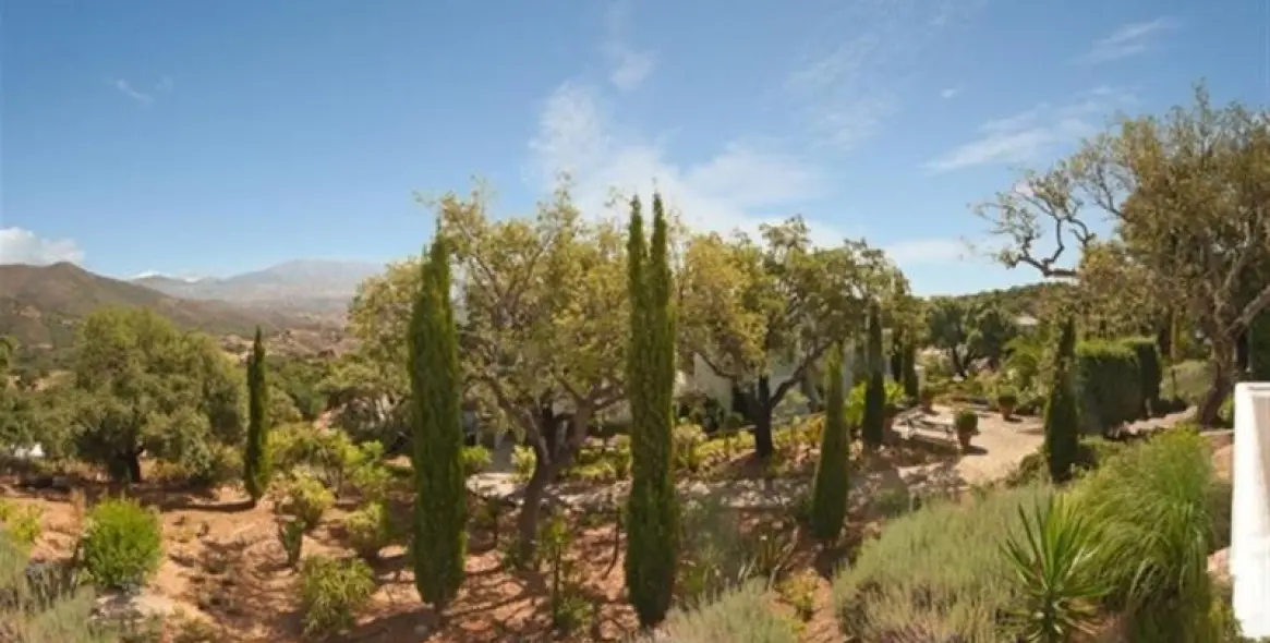 Sale of ground floor apartment in La Mairena 10