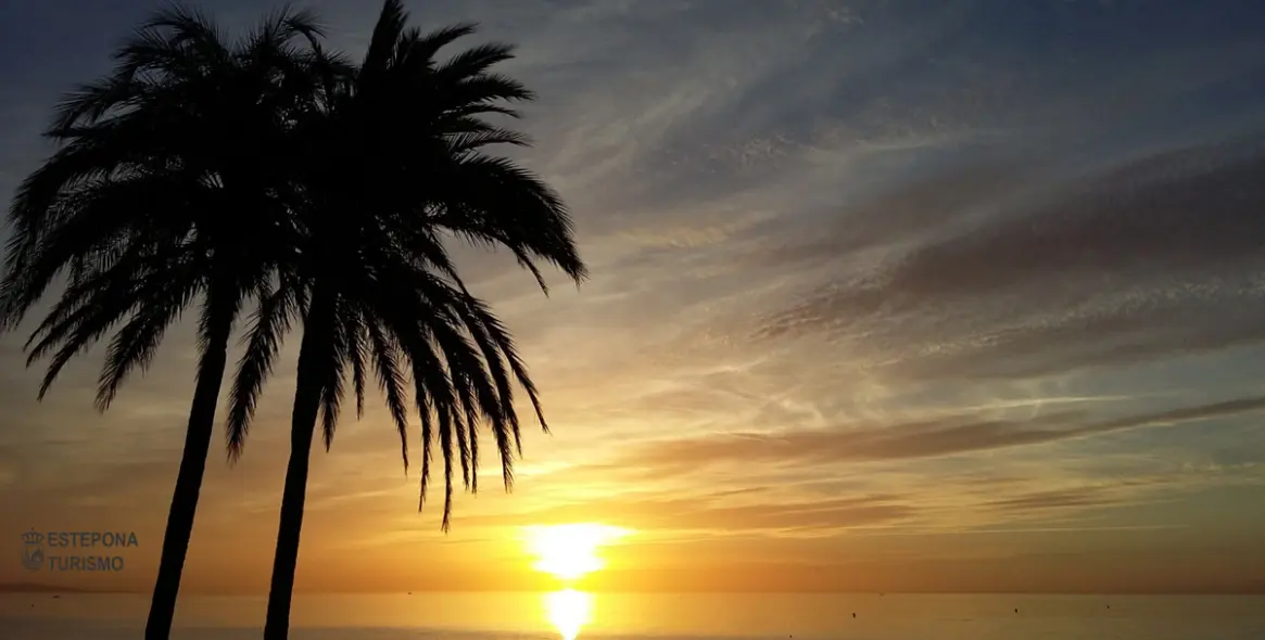 Продажа апартаментов на первом этаже в Estepona 19