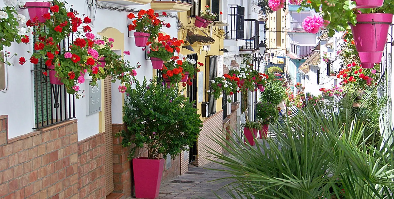 Sale of middle floor apartment in Estepona 18
