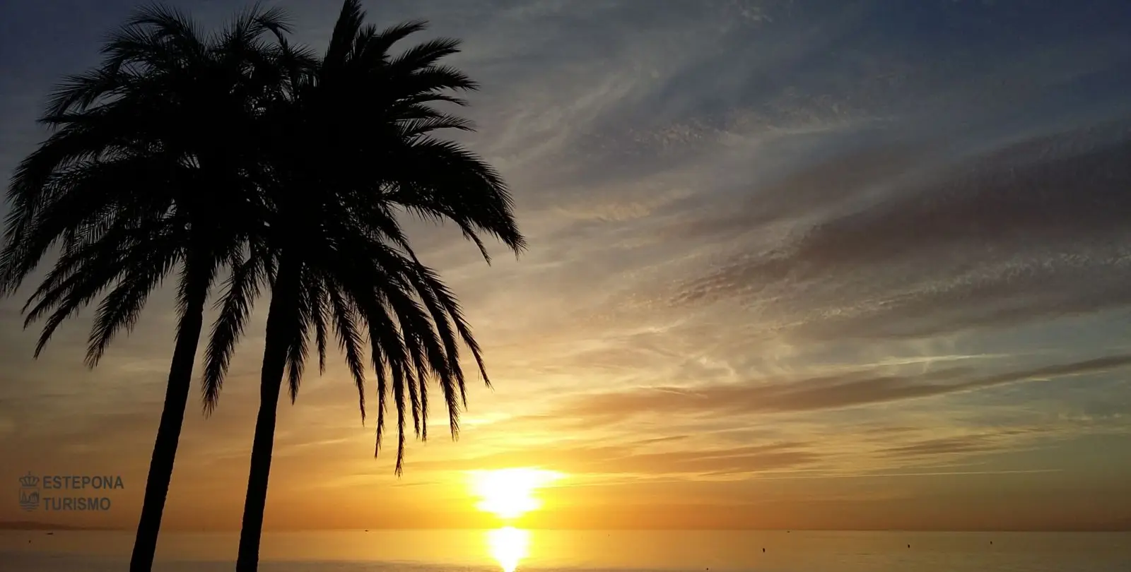Sale of middle floor apartment in Estepona 19