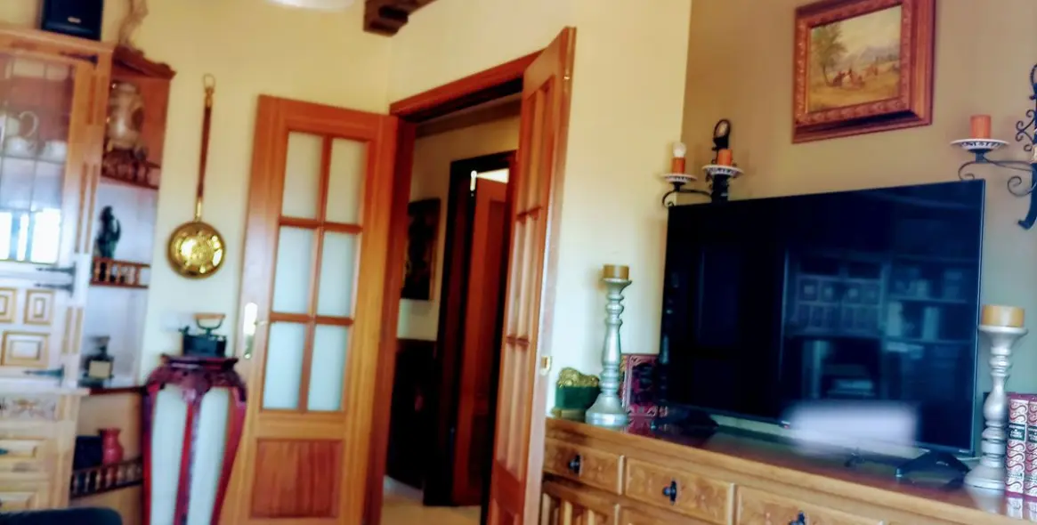 Sale of penthouse in Las Lagunas 3