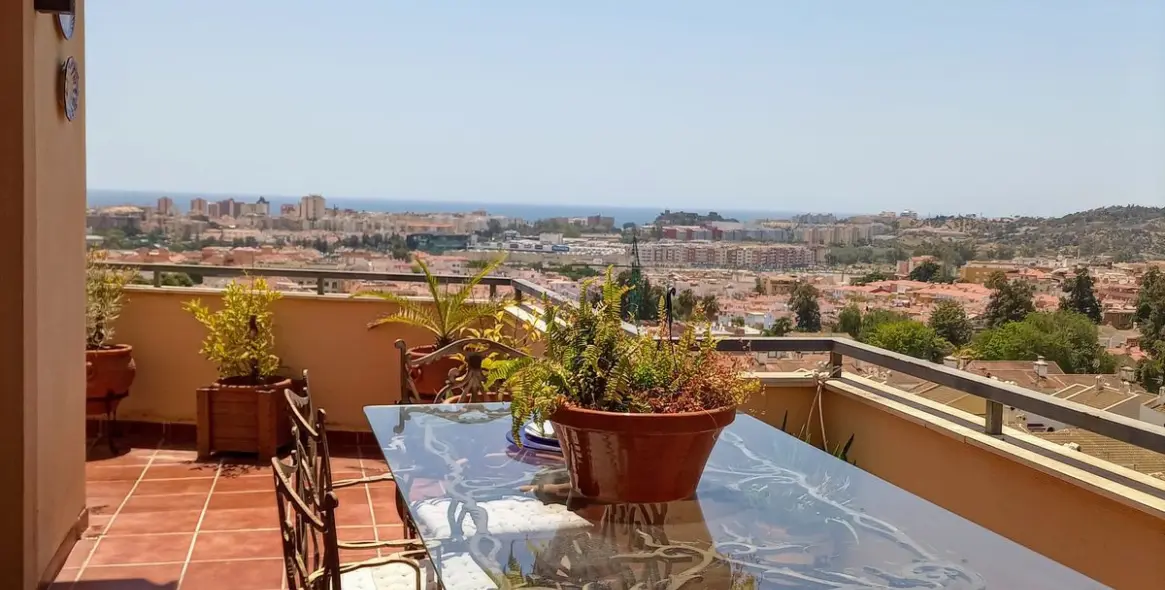 Sale of penthouse in Las Lagunas 20