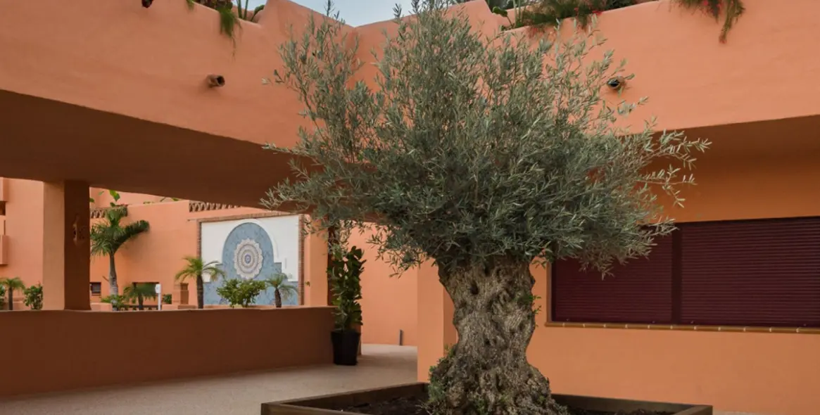 Sale of penthouse in El Paraiso 14