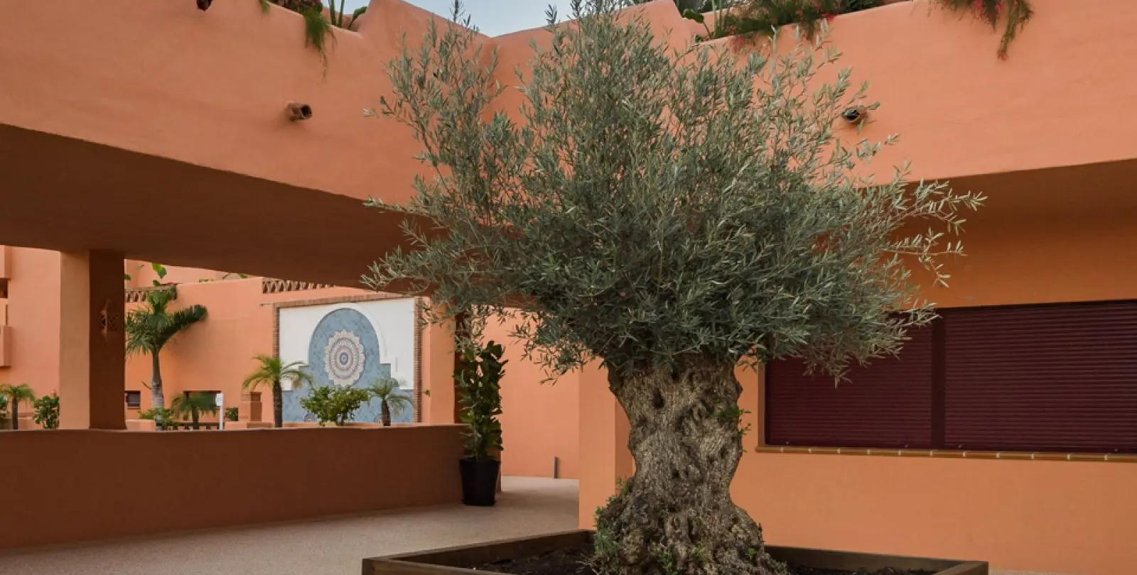 Sale of penthouse in El Paraiso 16