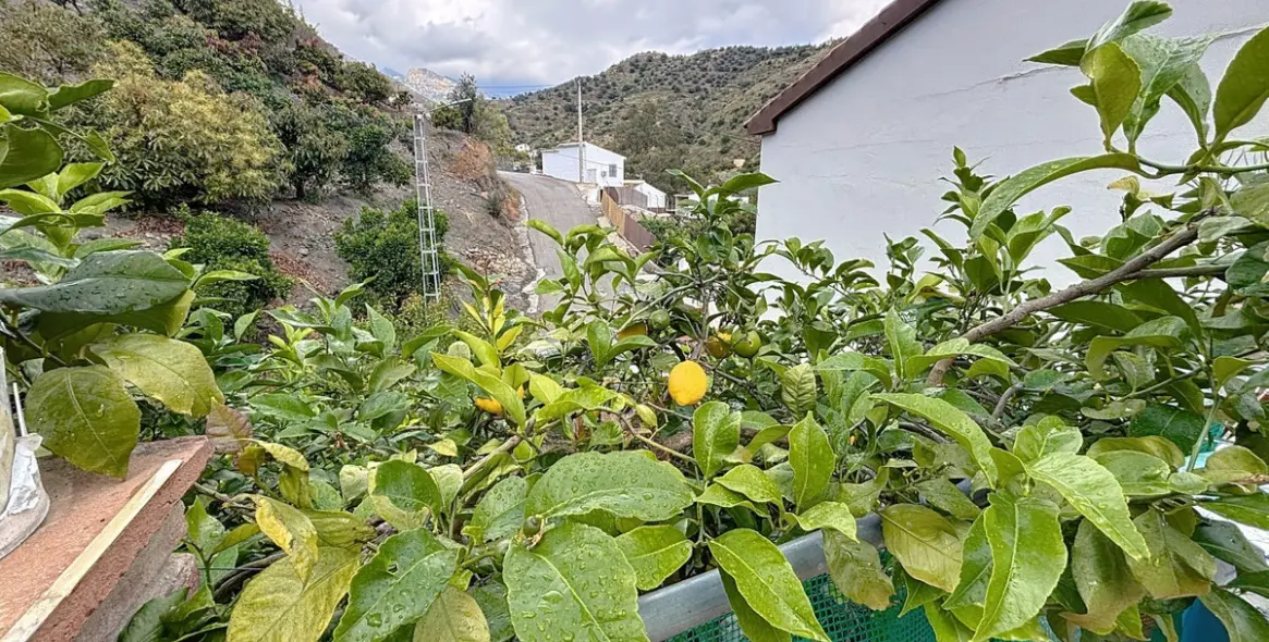 Venta de villa independiente en La Viñuela 48