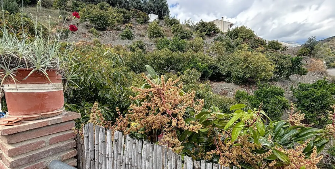 Venta de villa independiente en La Viñuela 49