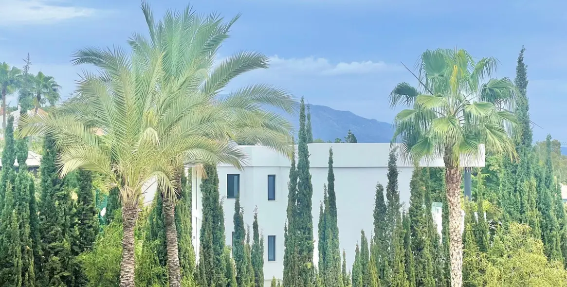 Sale of middle floor apartment in Benahavís 3