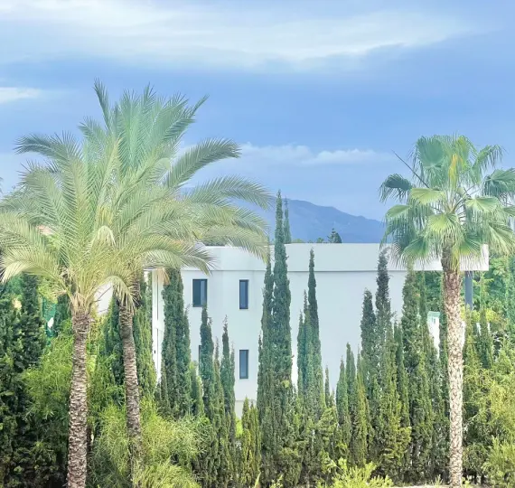 Sale of middle floor apartment in Benahavís