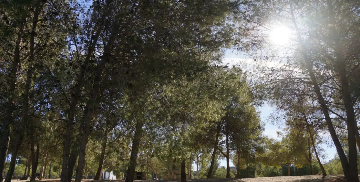 Продажа  отдельно стоящей виллы в Viñuela 59