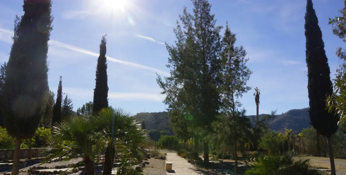 Продажа  отдельно стоящей виллы в Viñuela 60