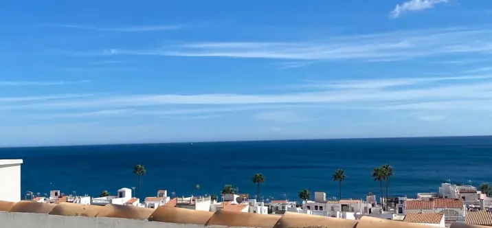 Sale of penthouse in Manilva 0