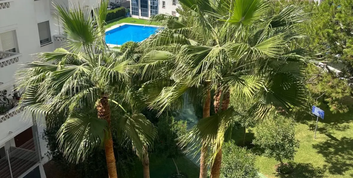 Sale of middle floor apartment in Nueva Andalucía 1