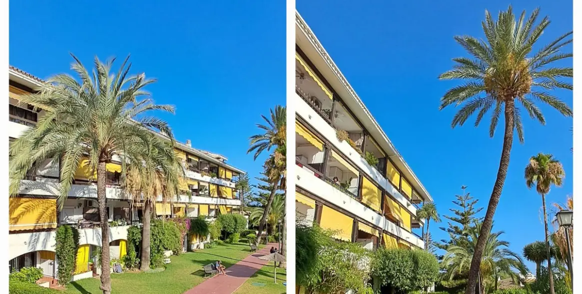 Sale of middle floor apartment in The Golden Mile 23