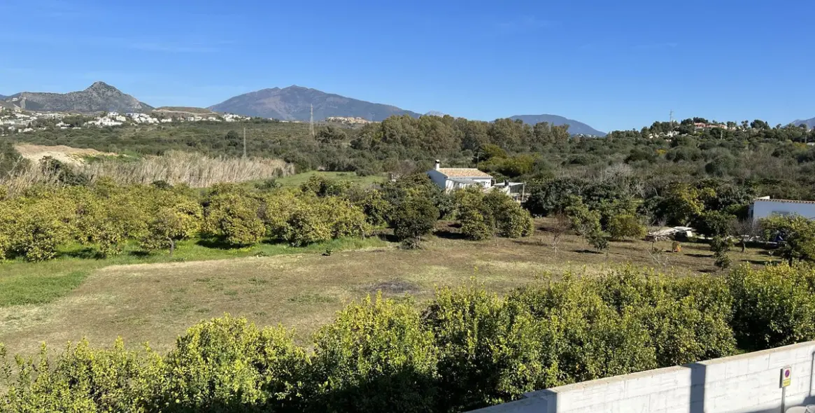 Venta de restaurante en New Golden Mile 14