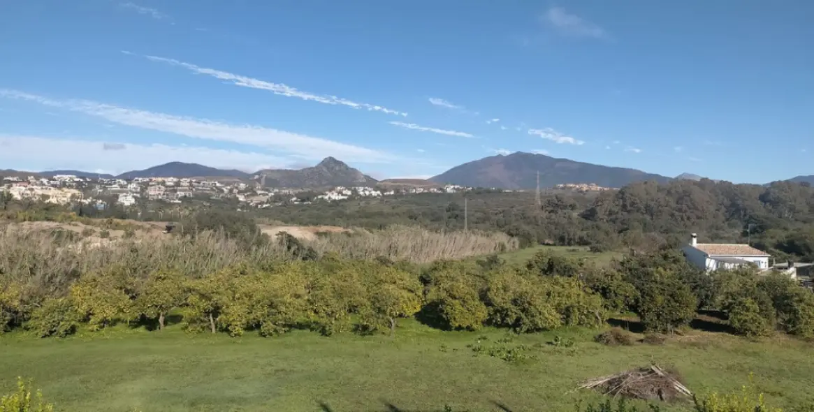 Venta de restaurante en New Golden Mile 15