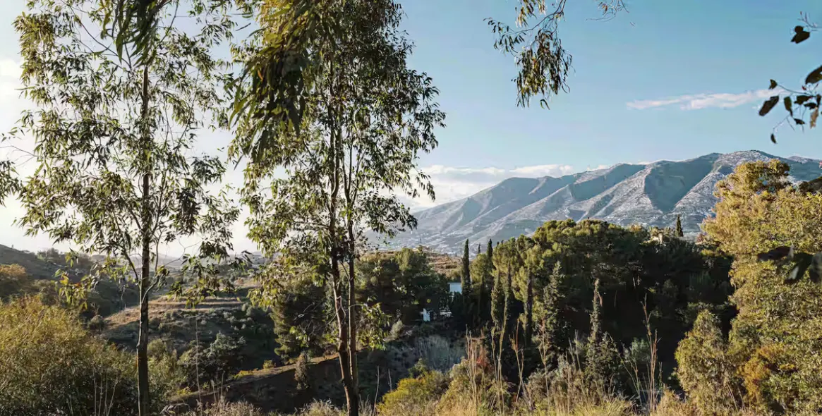 Sale of middle floor apartment in Mijas 15