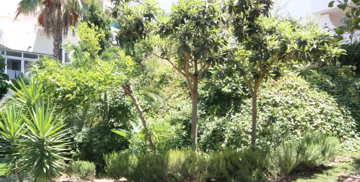 Sale of ground floor apartment in Reserva de Marbella 12