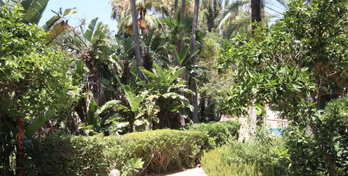 Sale of ground floor apartment in Reserva de Marbella 13