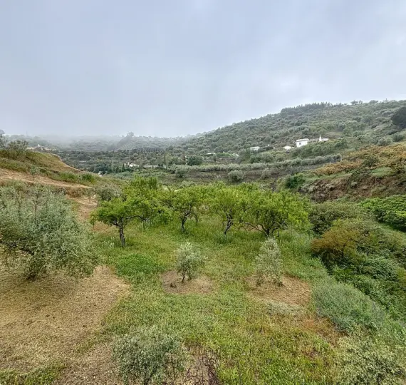 Продажа объекта в Arenas