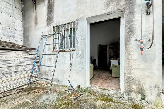 Image 4 thumb