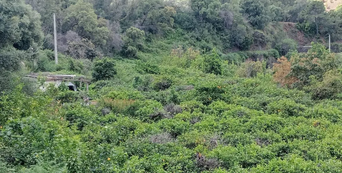 Продажа  жилого участка в Estepona 1