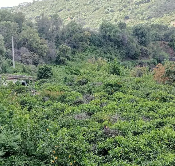 Venta de parcela residencial en Estepona