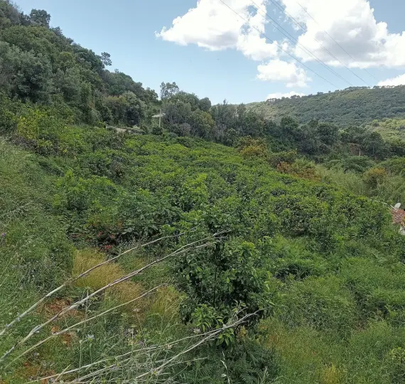 Venta de parcela residencial en Estepona