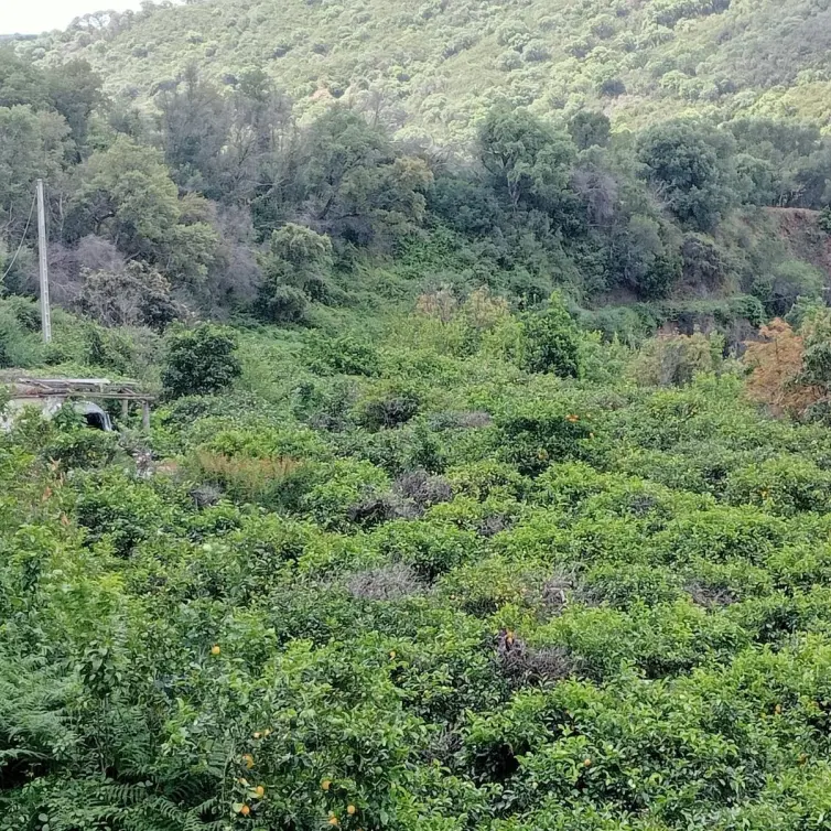 Sale of residential plot in Estepona