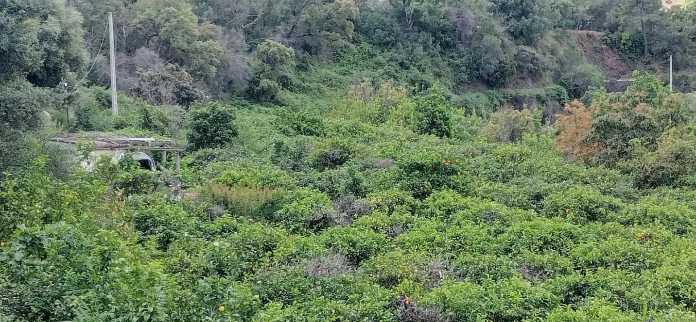 Sale of residential plot in Estepona 1