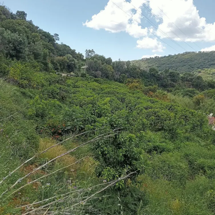 Sale of residential plot in Estepona