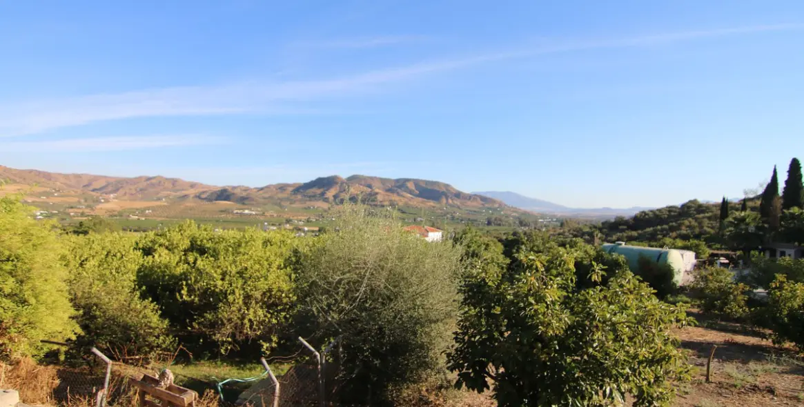 Sale of detached villa in Alora 1