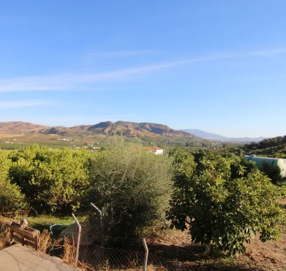 Sale of detached villa in Alora