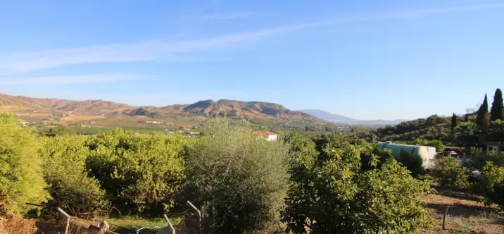 Sale of detached villa in Alora 0