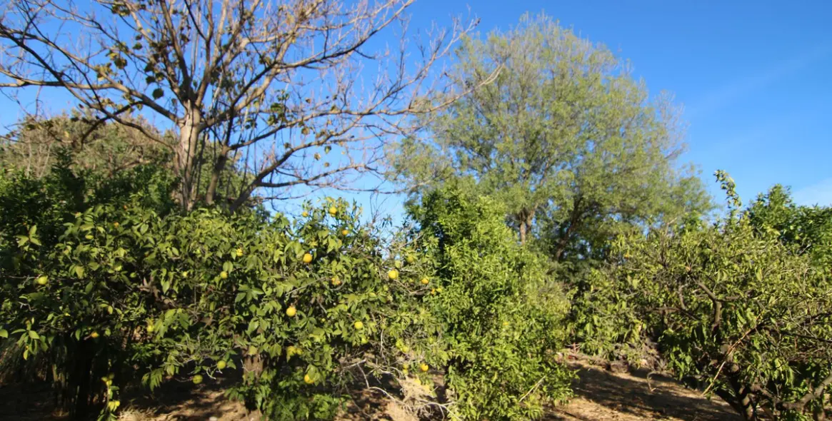 Продажа  отдельно стоящей виллы в Alora 36