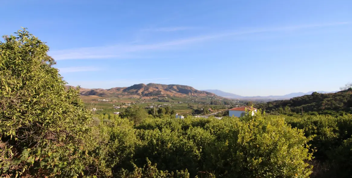 Продажа  отдельно стоящей виллы в Alora 37