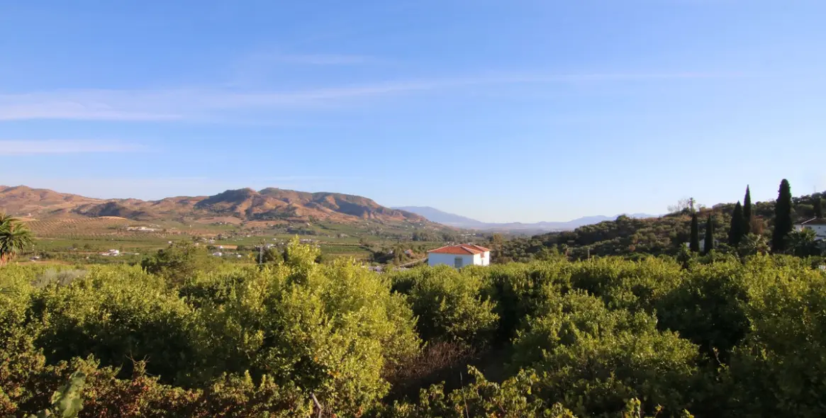 Продажа  отдельно стоящей виллы в Alora 38