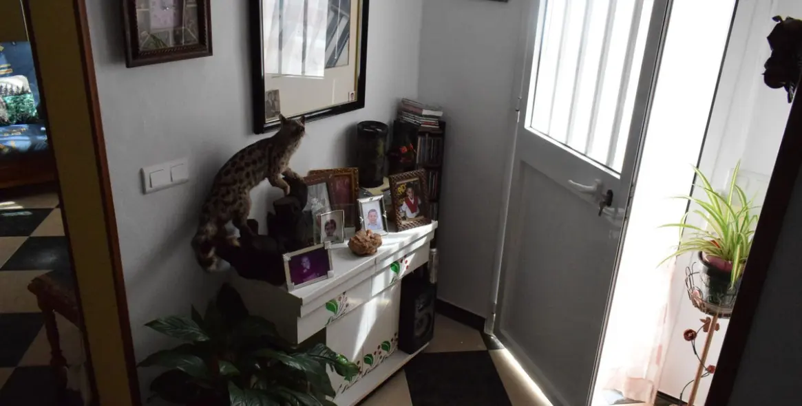 Sale of detached villa in La Viñuela 4