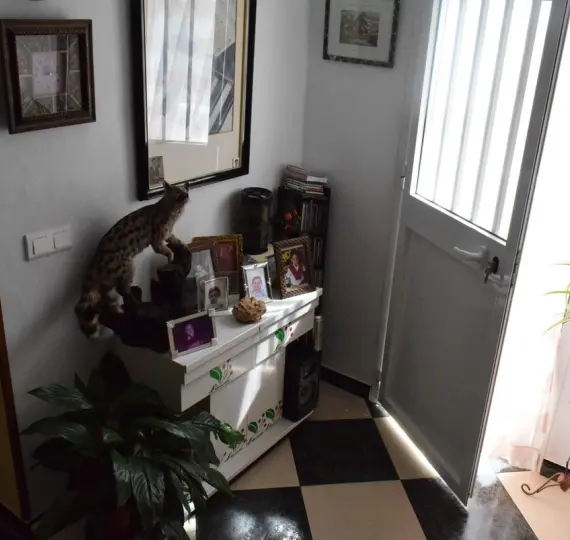 Sale of detached villa in La Viñuela