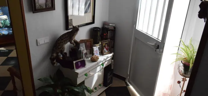 Sale of detached villa in La Viñuela 3