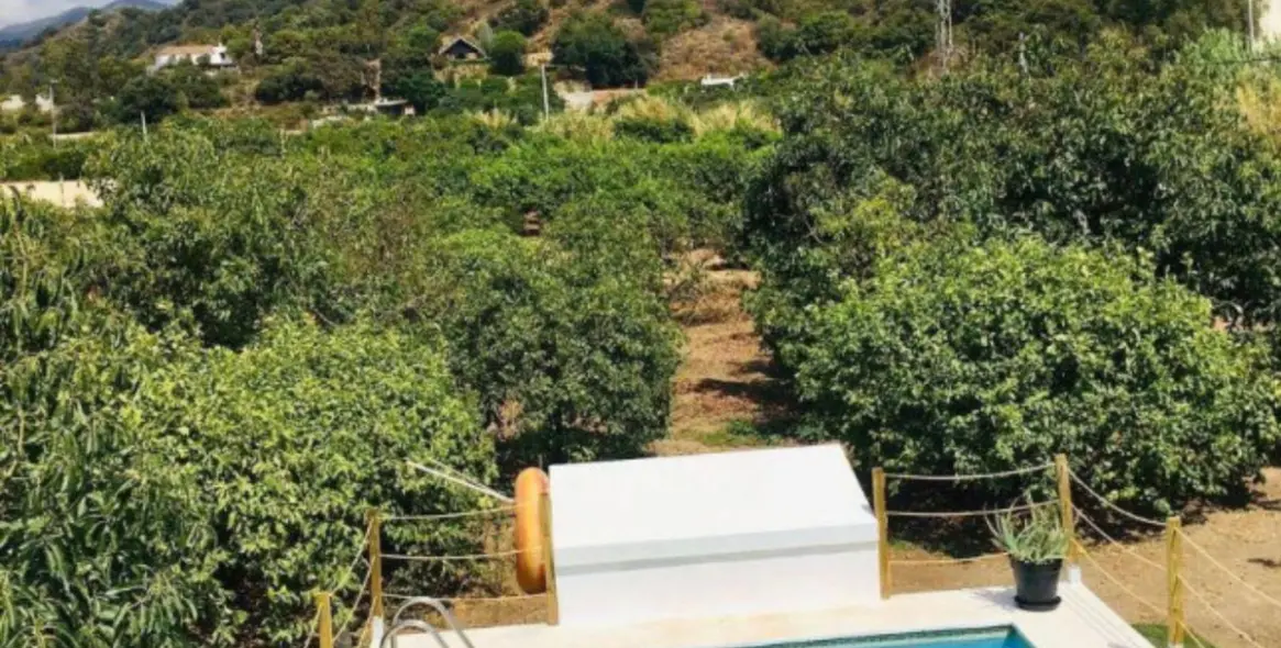 Продажа финки в Estepona 11