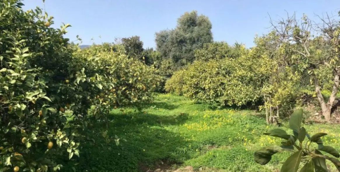 Продажа финки в Estepona 17