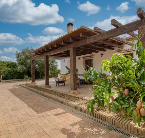 Sale of detached villa in South of spain