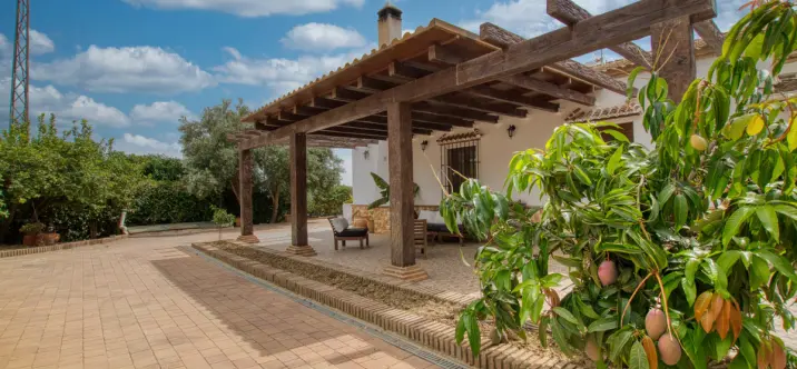 Sale of detached villa in South of spain 0