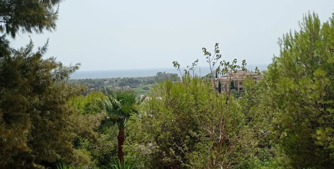 Продажа апартаментов на первом этаже в Estepona (район Estepona) 7