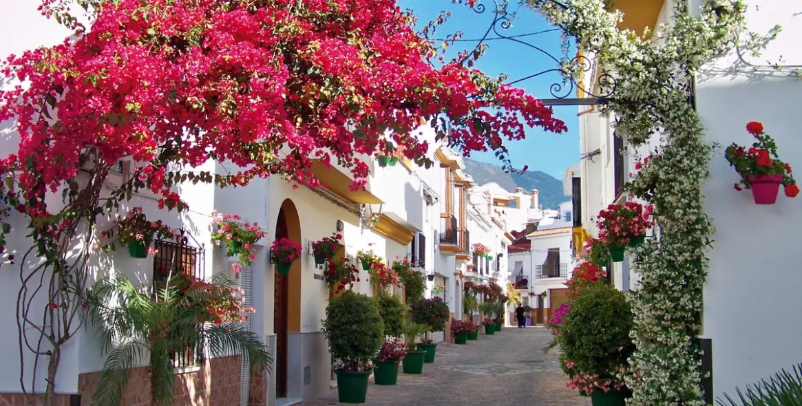 Sale of middle floor apartment in Estepona 21